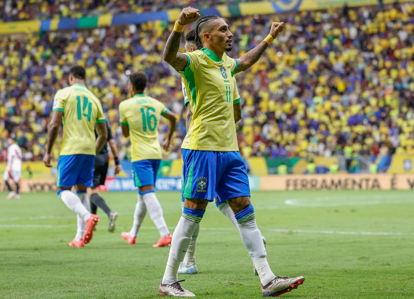 选择我们的五大优势